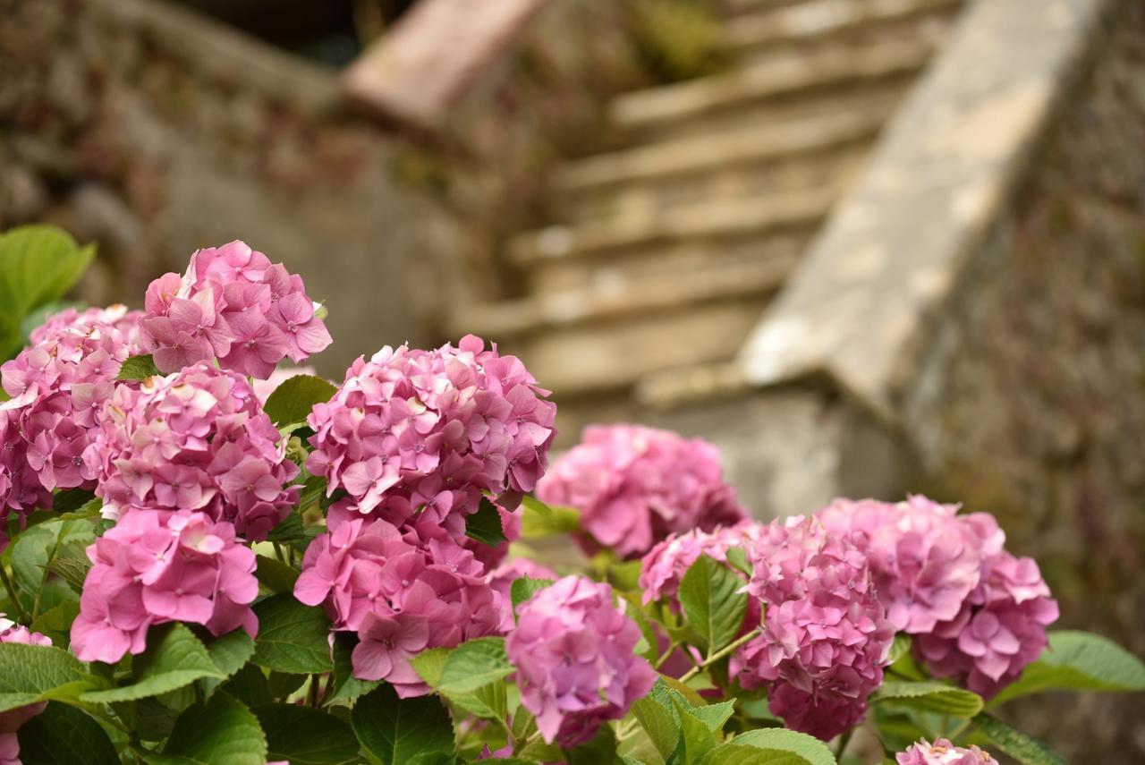 Relais Corte Rodeschi Camaiore Bagian luar foto