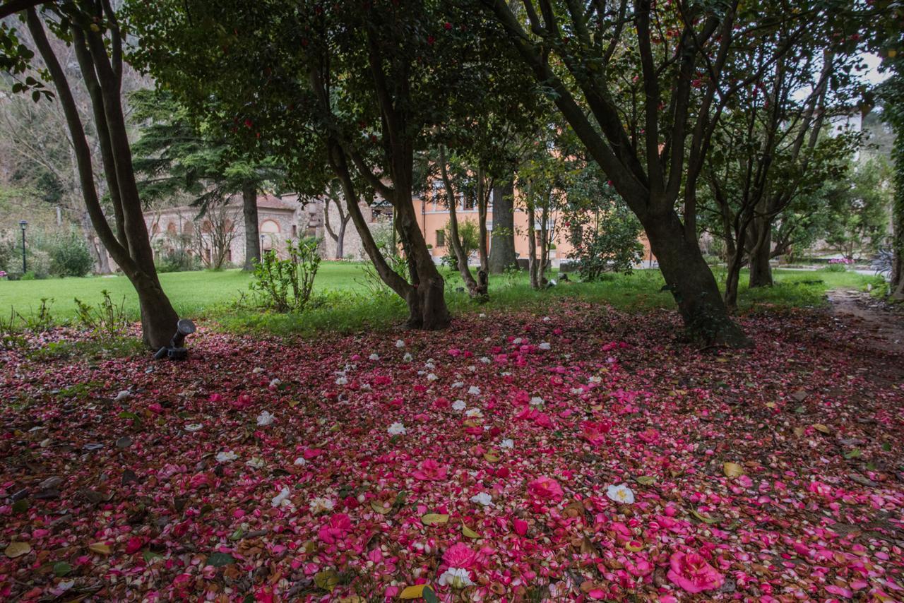Relais Corte Rodeschi Camaiore Bagian luar foto