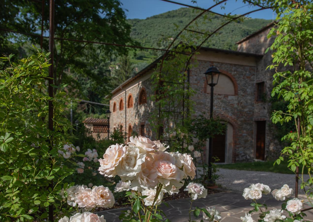 Relais Corte Rodeschi Camaiore Bagian luar foto