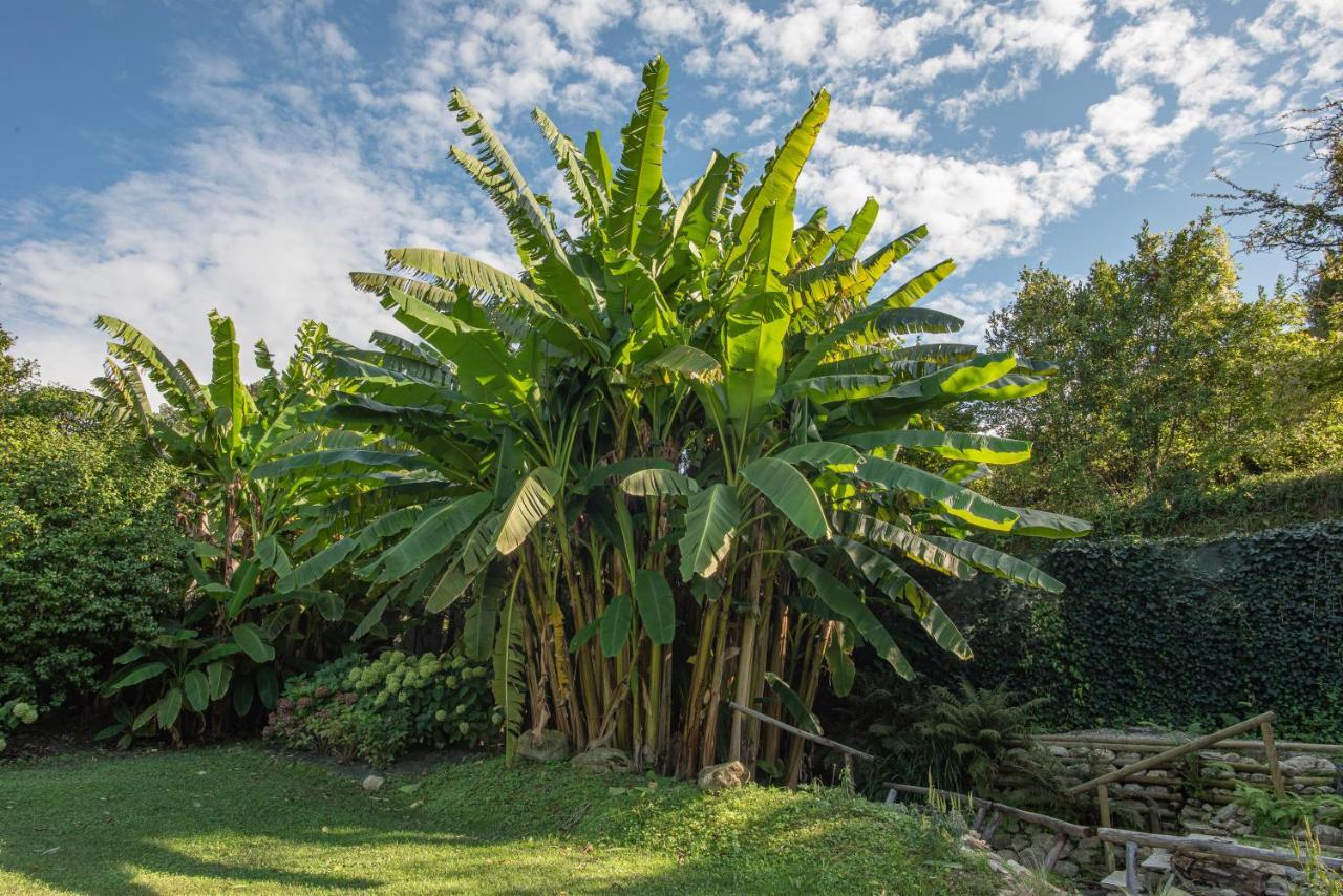 Relais Corte Rodeschi Camaiore Bagian luar foto