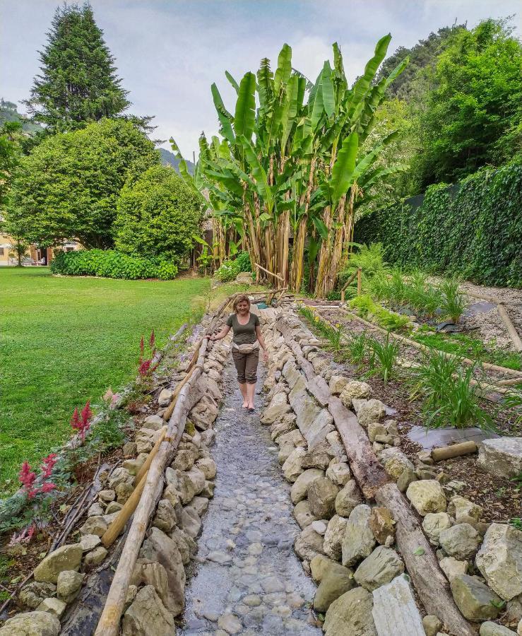 Relais Corte Rodeschi Camaiore Bagian luar foto